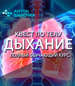 [Антон Шапочка] Квест по телу. Дыхание. Полный обу_0.png